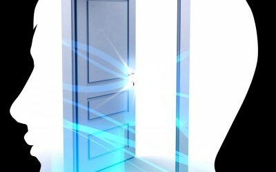 Do you want to open doors?