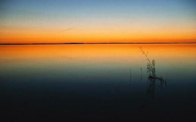 Still the waters…