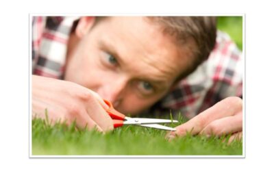 Purge Perfectionism… NOW! (Before it is too late)