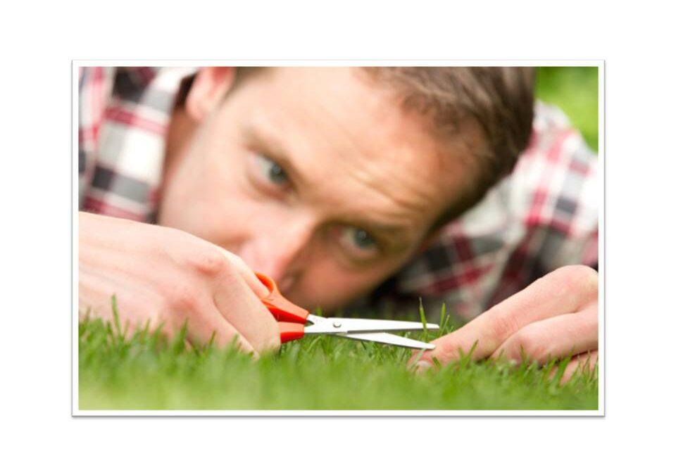 Purge Perfectionism… NOW! (Before it is too late)